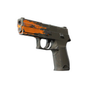 StatTrak™ P250 | Splash (Field-Tested)