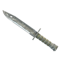 ★ Bayonet | Urban Masked (Battle-Scarred)