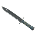 ★ StatTrak™ Bayonet | Night (Field-Tested)