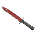 ★ StatTrak™ Bayonet | Crimson Web (Well-Worn)