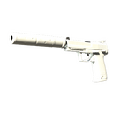 Souvenir USP-S | Whiteout (Factory New)