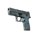 Souvenir P250 | Forest Night (Field-Tested)