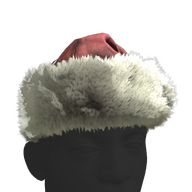 Santa 2024 Hat