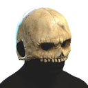Skull Helmet