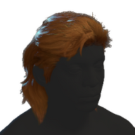 Mullet Hair