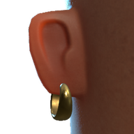 Gold Earrings