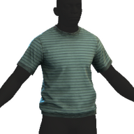 Blue Tshirt