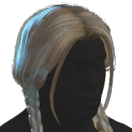 Braided Hair