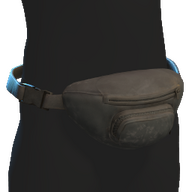 Fanny Pack