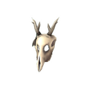 The Shaman's Skull
