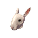 The Horrific Head of Hare