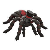 Terror-Antula