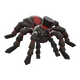 Terror-Antula