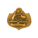 Genuine ozfortress Experimental Cup 2 Division 4 Participant