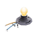 Pristine Robot Brainstorm Bulb