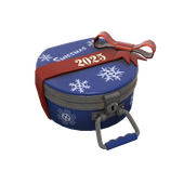 Winter 2025 Cosmetic Case