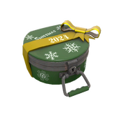 Winter 2024 Cosmetic Case