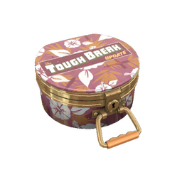 free tf2 item Tough Break Cosmetic Case