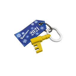 free tf2 item Winter 2021 Cosmetic Key