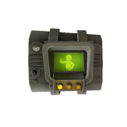 Genuine Pip-Boy