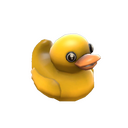Duck Journal