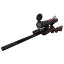 Broken Record Sniper Rifle (Minimal Wear)