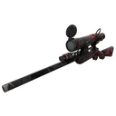 Broken Record Sniper Rifle (Well-Worn)
