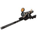 Night Owl Sniper Rifle (Minimal Wear)