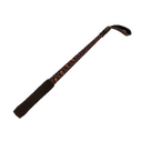 Skull Study Disciplinary Action (Field-Tested)