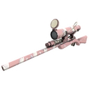 Dovetailed Sniper Rifle (Minimal Wear)