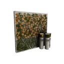 Unusual Gourdy Green War Paint (Well-Worn)