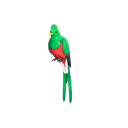 Strange Quizzical Quetzal