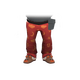 Bear Walker