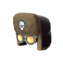 Unusual Professional's Ushanka