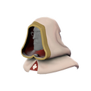 The Nunhood