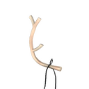 Unusual Prancer's Pride (Flaming Lantern)