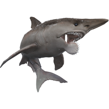 Steam Community Market Listings For Mako Helicoprion