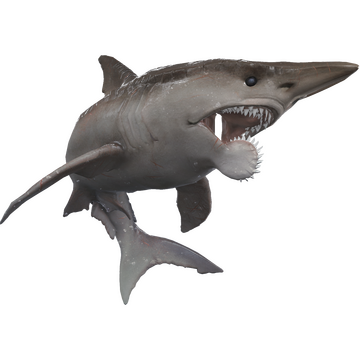 Mercato della Comunità di Steam :: Inserzioni per Mako - Helicoprion