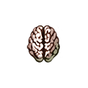 :lz_brain: