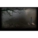 the Forest