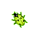 :rad_bug: