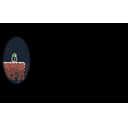 Explorer (Profile Background)
