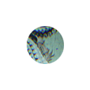 :TheDepths: