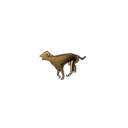 :straydog: