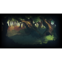 The Forest