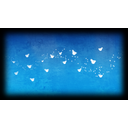 LUMIES IN THE SKY