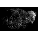 Juggernaut Anatomy