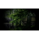Swamp Hideout