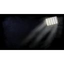 Cell