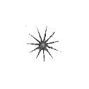 :spacecreature: